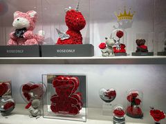 -苏州中心商场(星港街店)