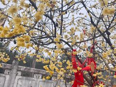 -报恩禅寺