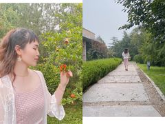 -济南国际园博园