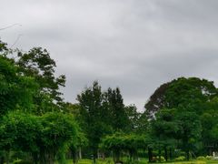 -福建鲤鱼洲酒店