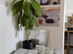 -纽巷咖啡 SOFTFOCUS COFFEE(锦和巴黎时韵店)