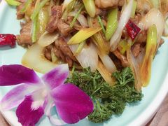孜然羊肉-满园烤鸭·春饼(太原街万达店)