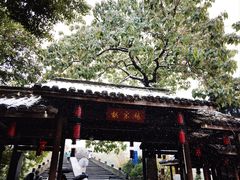 -运河游船(武林门码头)