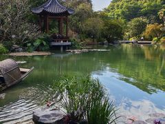 -云溪植物园