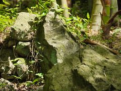 -雁荡山三折瀑景区