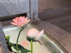 -海东头·疙瘩汤(万达四楼店)