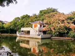 -金花茶公园