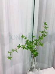 -久匠半永久纹眉