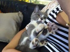 android_upload_pic-MIKAKU(万达广场上海宝山店)