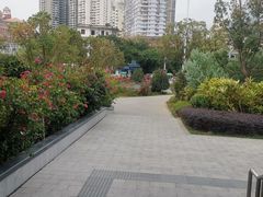 -黄金海岸环岛路