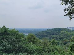-老君山