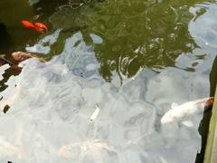 -铜人李火锅(西大街店)