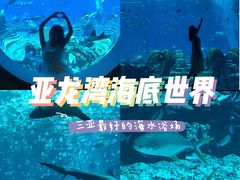 -亚龙湾海底世界