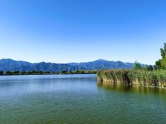 -野鸭湖国家湿地公园