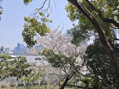 -北外滩滨江绿地