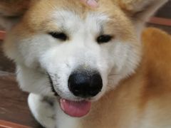-YCHL Studios健身工作室(市二宫店)
