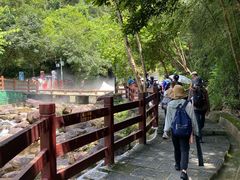 -广州白江湖森林公园