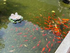 -幕燕滨江·长江观音景区