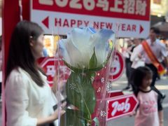 -越秀西湖花市(广州城市广场花卉店)