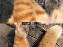 -文瀛公园