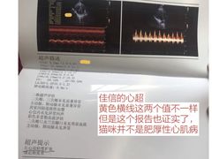-北京佳信宠物医院
