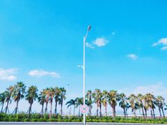 -海堤纪念公园