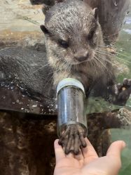 -Zoolung Zoolung动物主题公园(海信广场店)