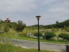 -东莞植物园