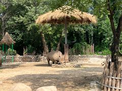 -北京野生动物园