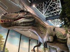 -湖南省地质博物馆