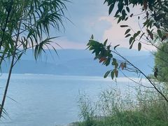 -西昌邛海湾柏樾酒店(原邛海湾柏栎度假酒店)