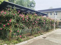 -南京航空航天大学(明故宫校区)