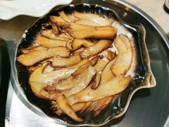 -蘑统田下·野生菌火锅