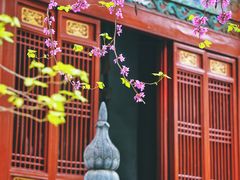 -洛阳白马寺