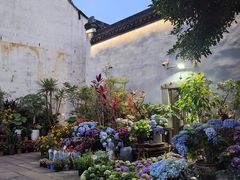 -嘉兴月河历史街区