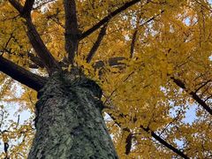 -狼山风景名胜区