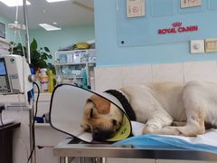 -畜牧兽医站(共江路店)