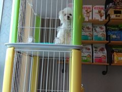 -犬也宠物造型(恒茂国际都会商业街店)
