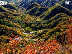 -大岭沟猕猴桃谷风景区
