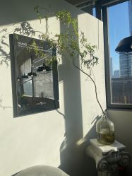 -飛凡TATTOO纹身•原创