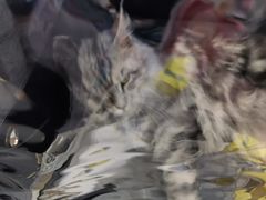 -尹记餐馆(花园店)