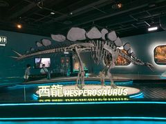 -香港科学馆