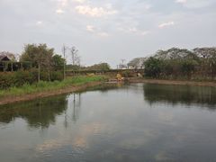 -芒洲湿地公园