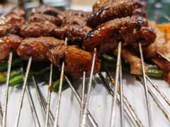 -鼎原力量东北吊炉烧烤(临河街店)