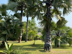 -中国科学院西双版纳热带植物园
