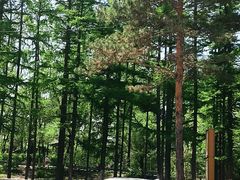 -长春市南湖公园