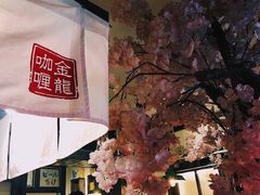 -金龙咖喱