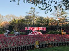 -上海野生动物园
