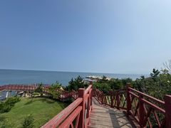 -养马岛旅游度假区