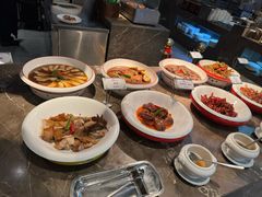 -齐河孔雀王温泉酒店·金孔雀自助百汇